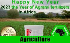 Happy Agrami New 2023 Year