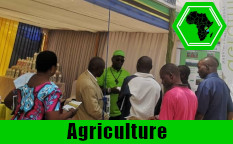 How to increase the profit from agricultural production?